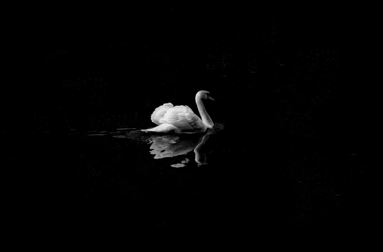 Classical Arts Entertainment - Swan Lake at San Jose Center for Performing Arts