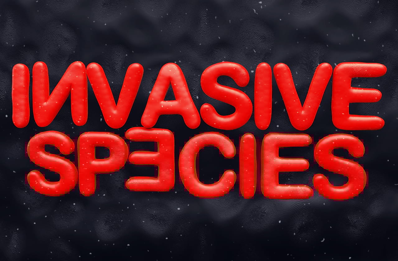 Invasive Species at Kings Head Theatre