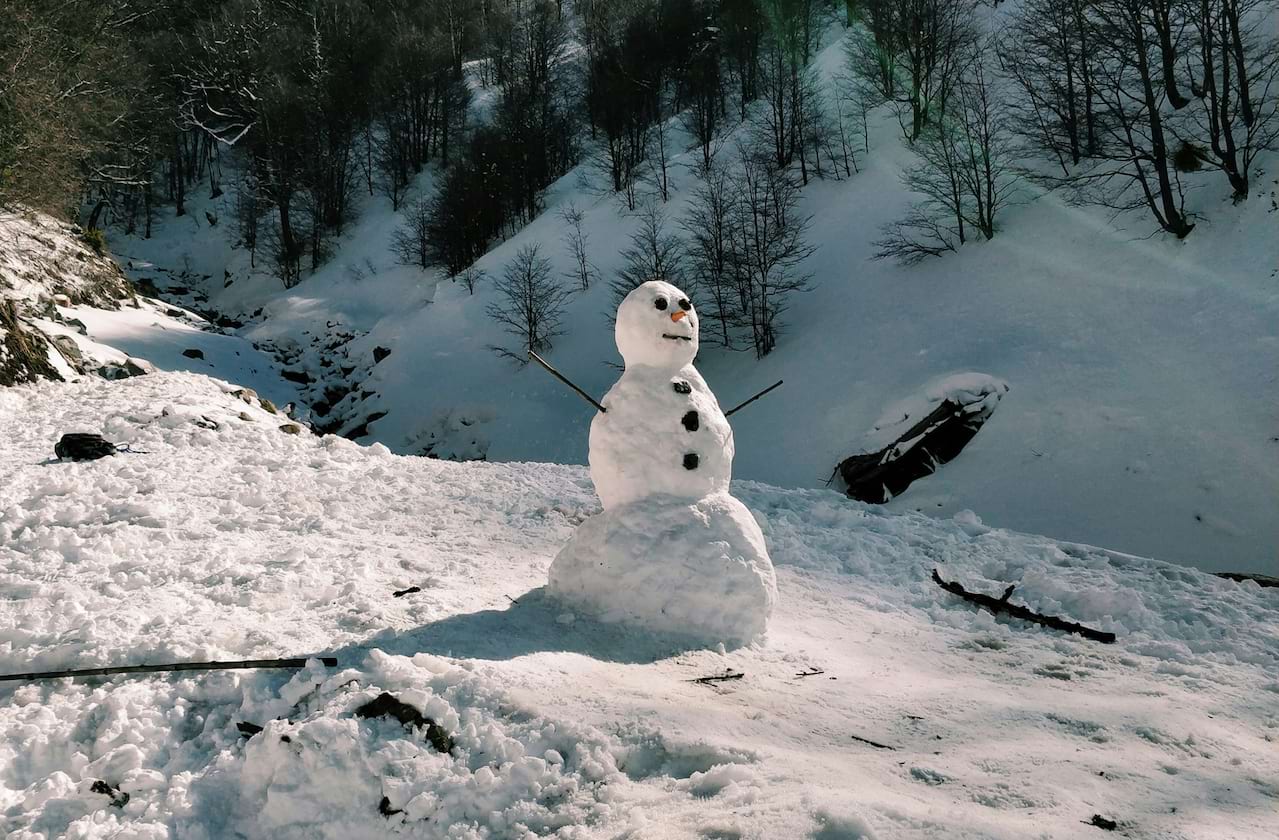 Dates announced for Springfield Symphony - The Snowman