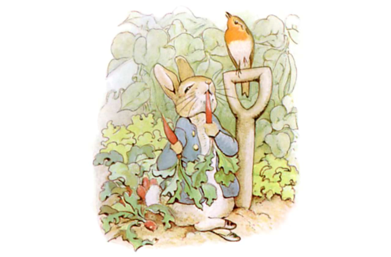 Into The Burrow - A Peter Rabbit Tale dates for your diary