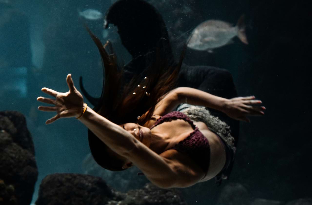 Dates announced for Appalachian Ballet Company - Little Mermaid