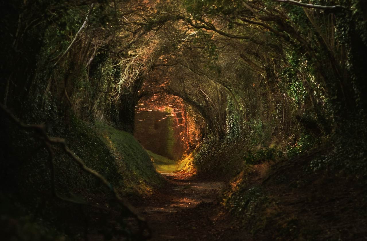 Dates announced for Robin Hood - A Very Merry Family Musical