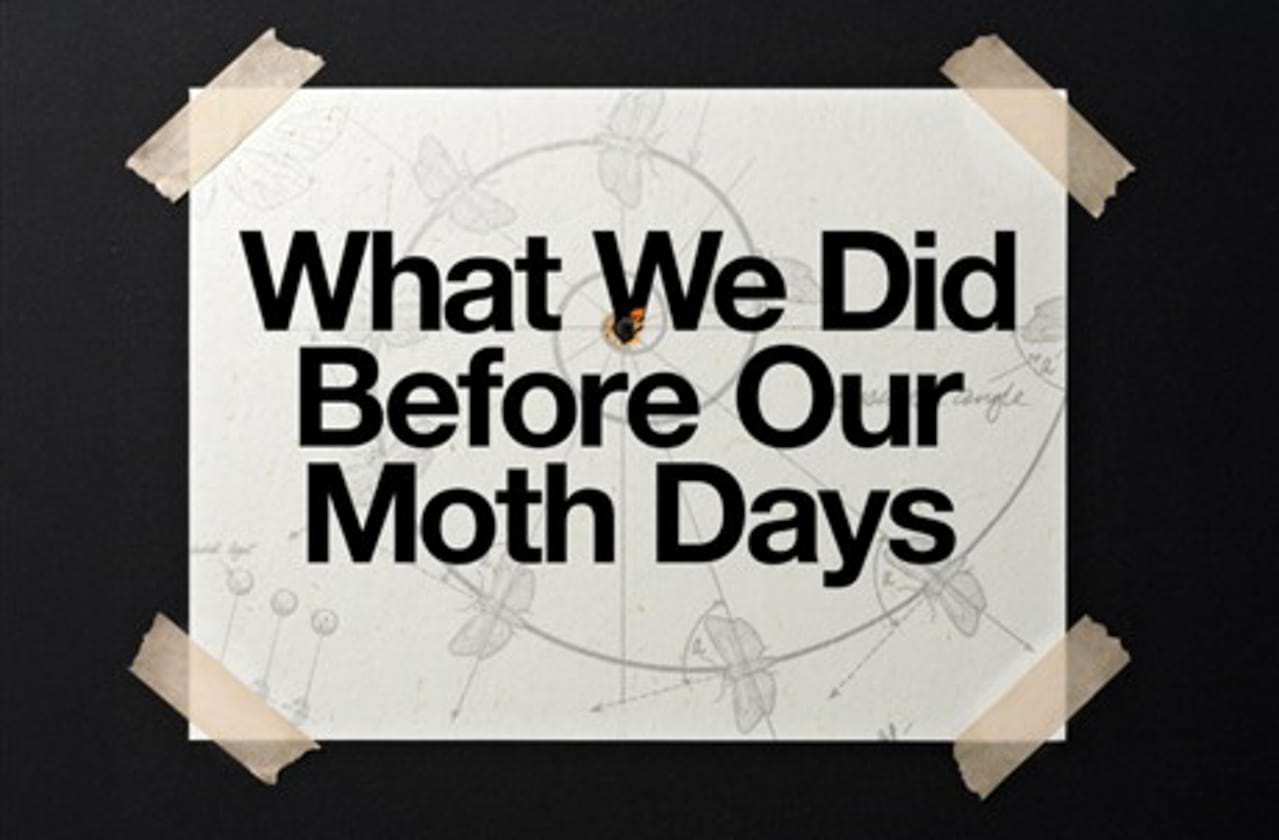What We Did Before Our Moth Days