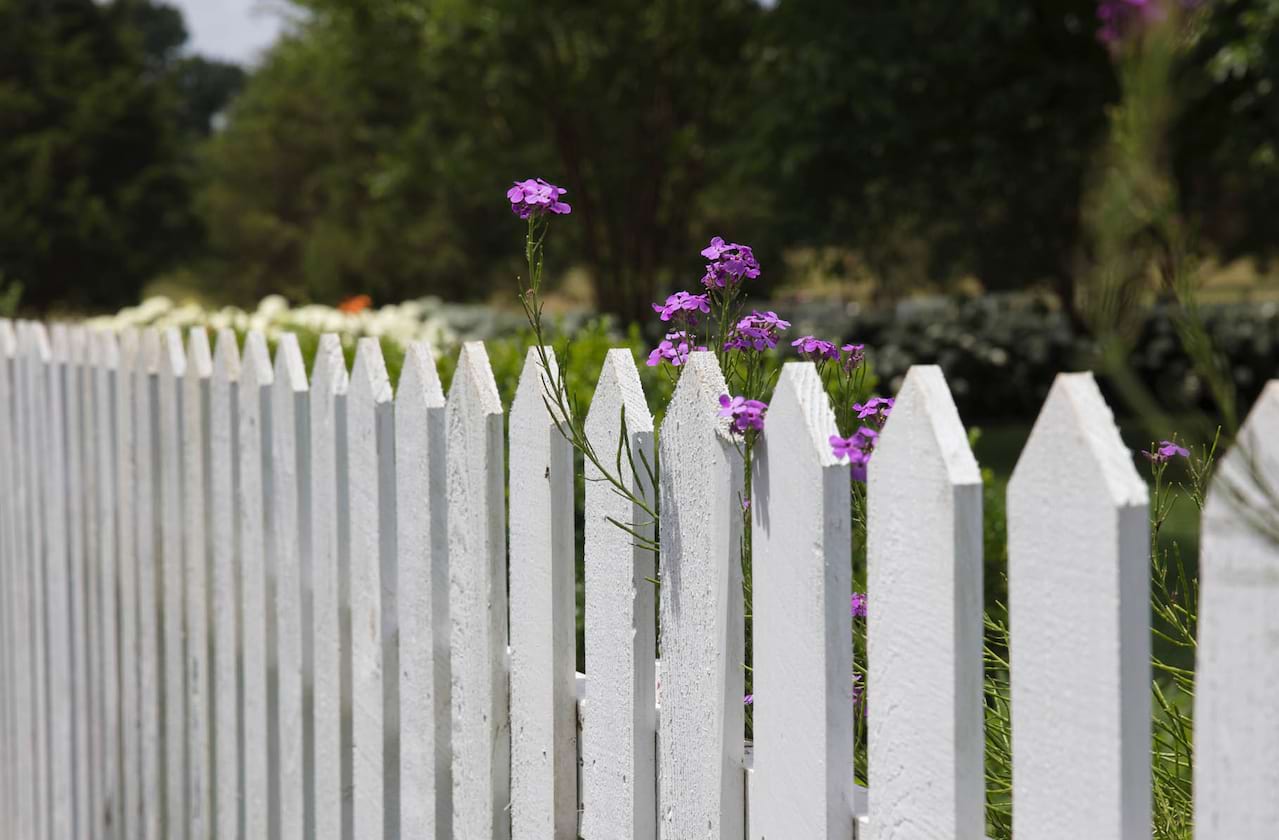 Native Gardens dates for your diary