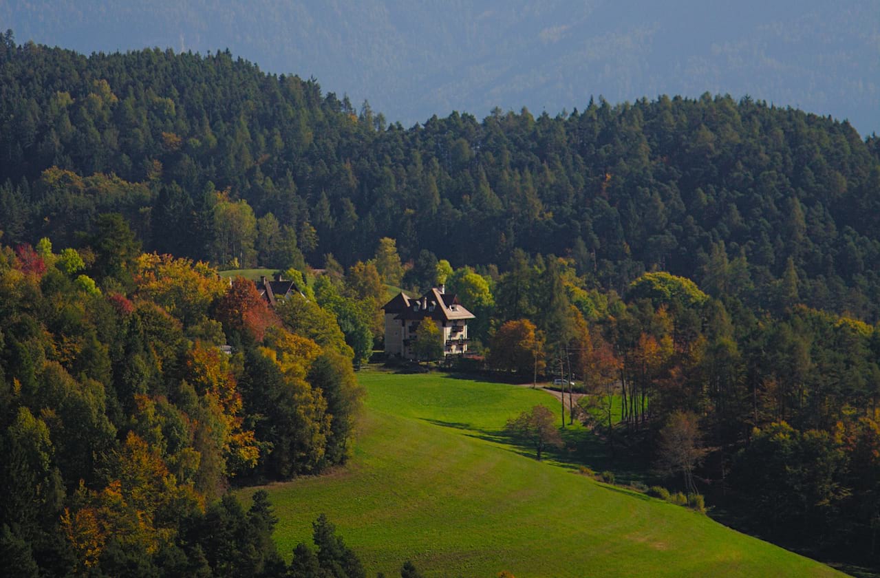 The Seagull dates for your diary