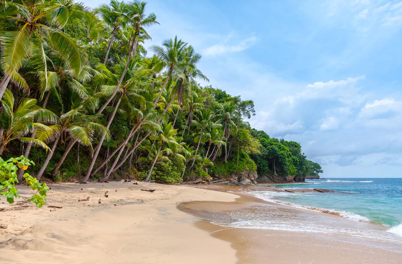 Dates announced for South Pacific