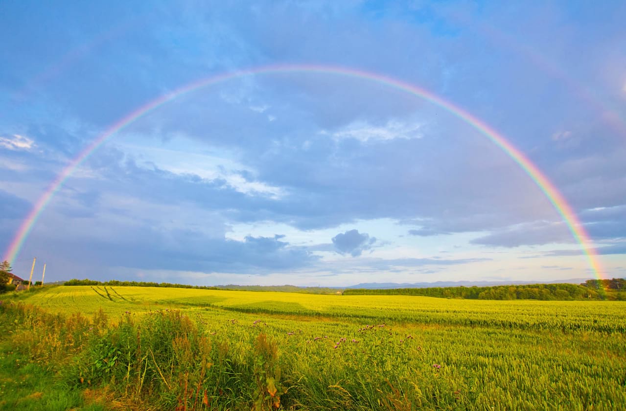 The Wizard of Oz dates for your diary