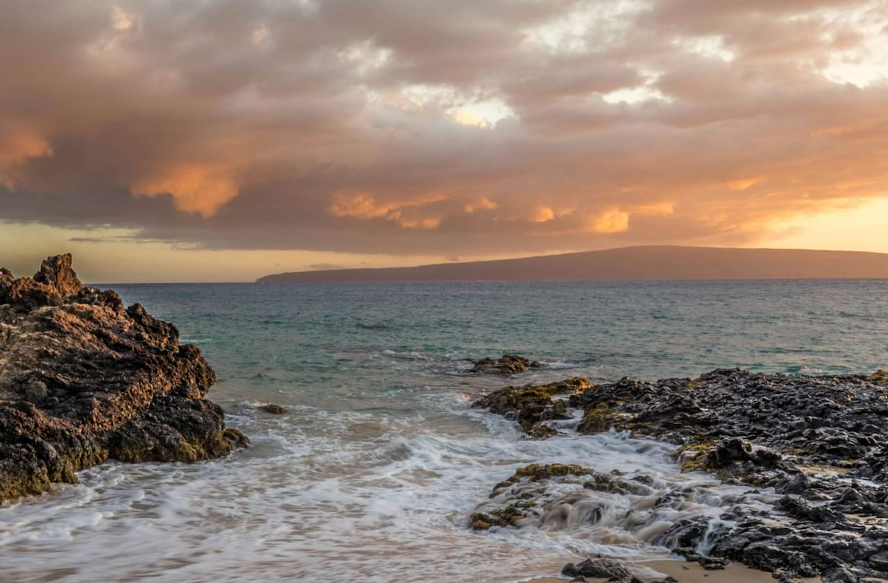 Dates announced for Hawaii Opera Theatre - Kamelehua: The Sheltering Tree