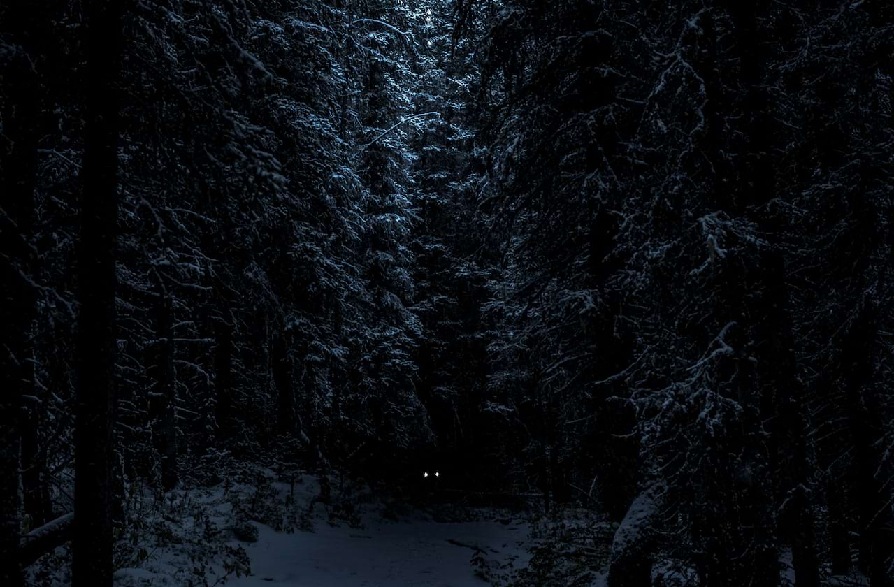 The Grief Eater Near North Bender coming soon!