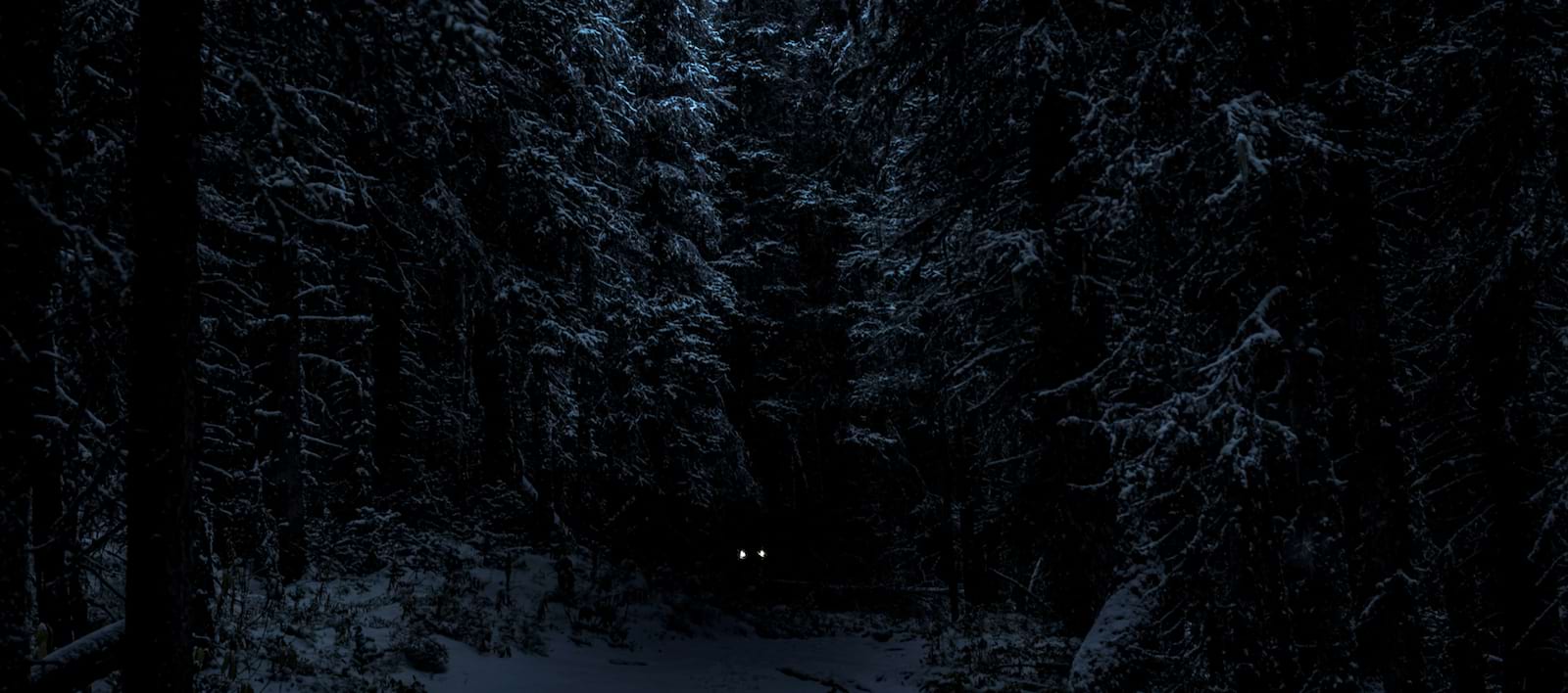 The Grief Eater Near North Bender