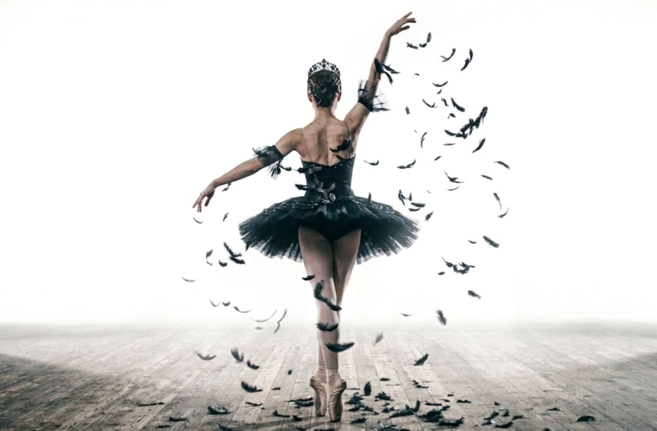 Dates announced for Black Swan