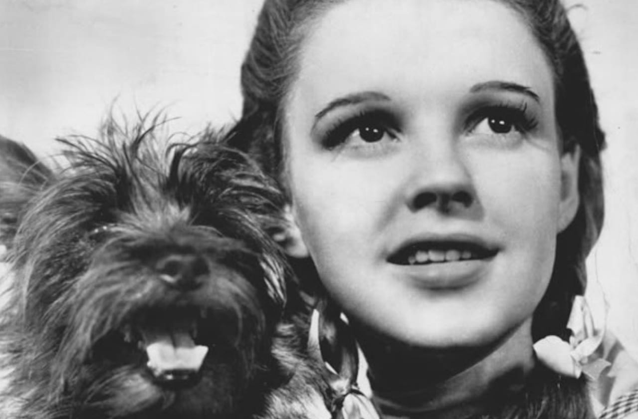 Philadelphia Orchestra - The Wizard of Oz dates for your diary