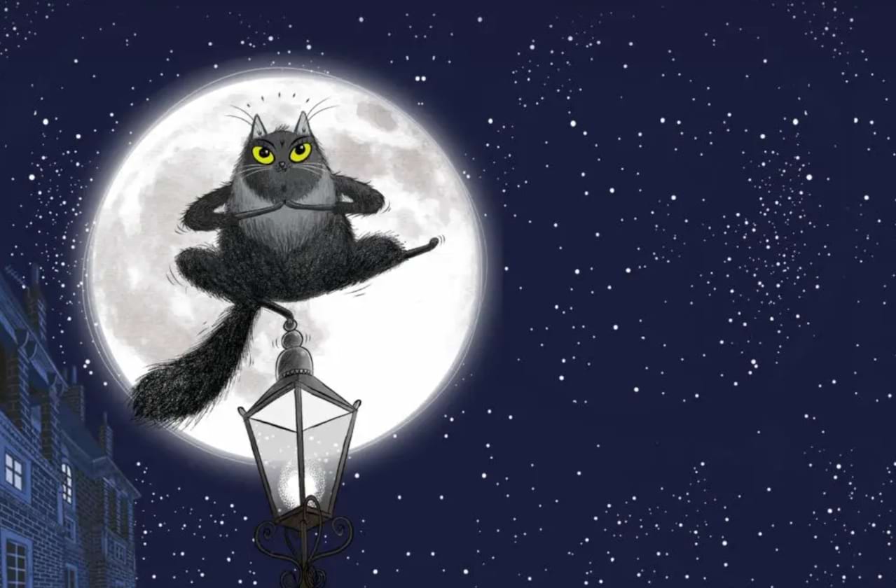 Toto The Ninja Cat dates for your diary