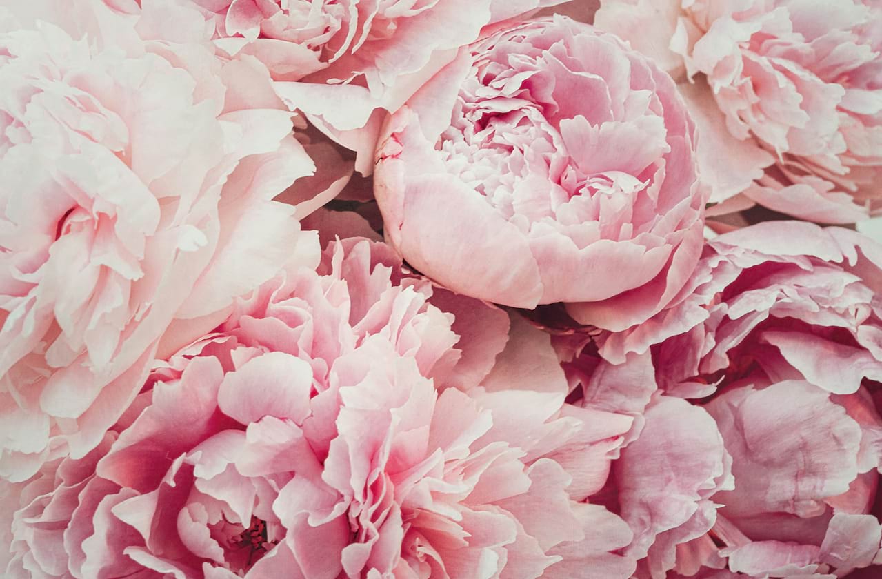 Dates announced for Eugene Ballet - Sleeping Beauty