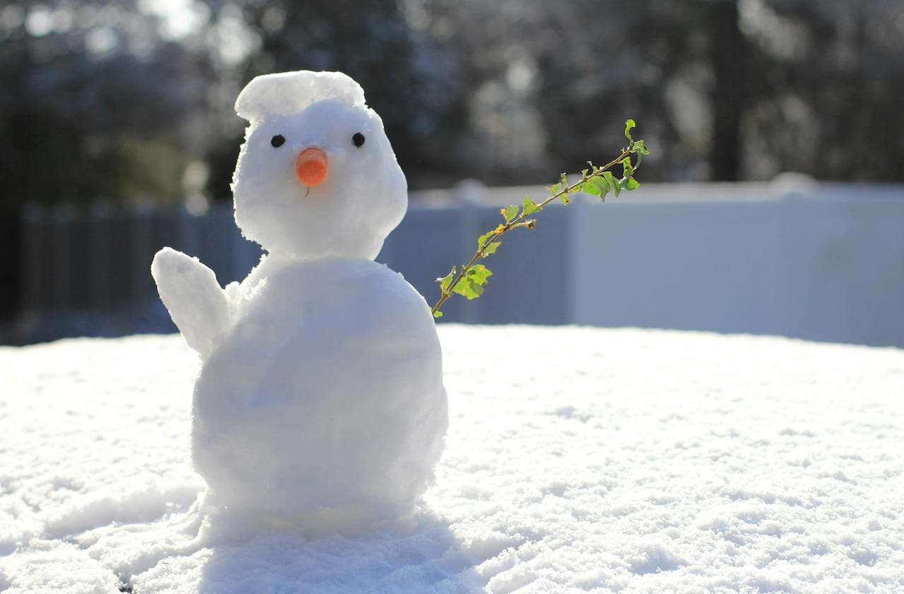 Dates announced for Opera Colorado - The Snowy Day