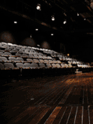 Alley Theatre Neuhaus Stage Seating Chart